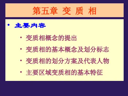 变质岩石学-第五章变质相
