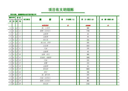 财务收支明细表 简单版
