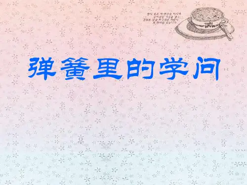 弹簧里的学问-PPT全文课件