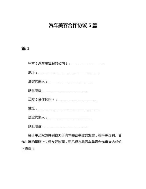 汽车美容合作协议5篇