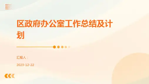 区政府办公室工作总结及计划