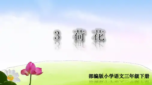 【部编本人教版】《荷花》PPT课件--三年级下册第3课