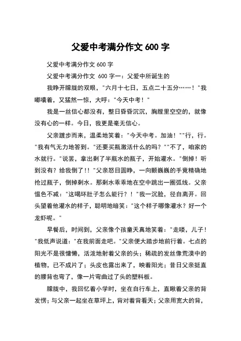 父爱中考满分作文600字
