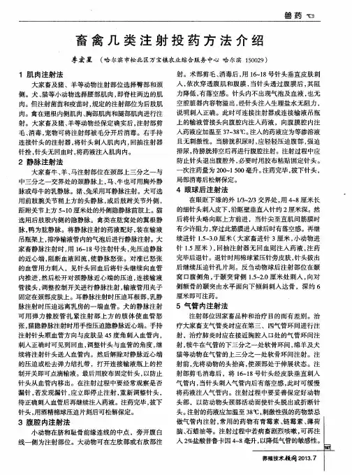 畜禽几类注射投药方法介绍