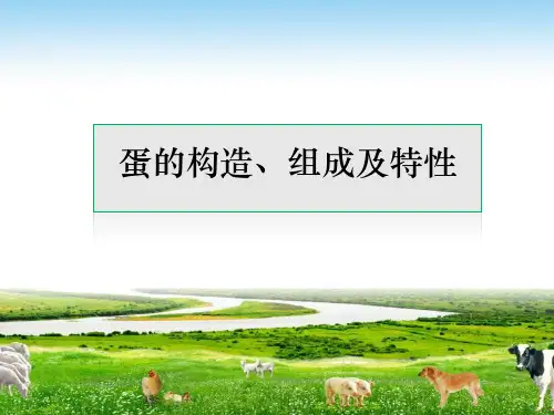 蛋的构造、组成及特性