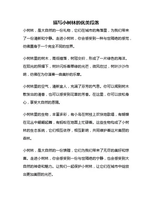 描写小树林的优美段落