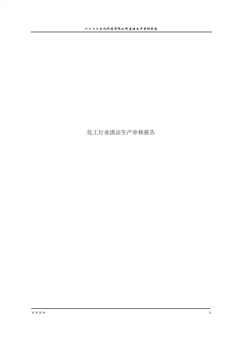 化工行业清洁生产审核报告1