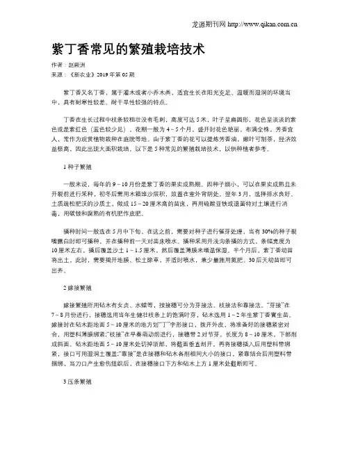 紫丁香常见的繁殖栽培技术