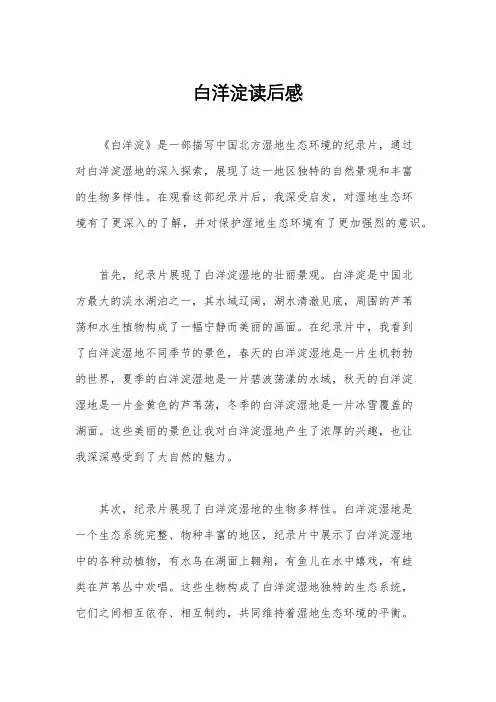 白洋淀读后感