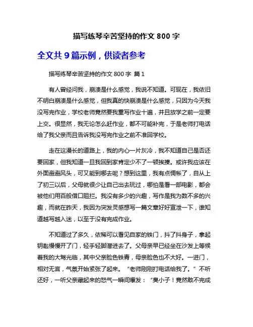 描写练琴辛苦坚持的作文800字