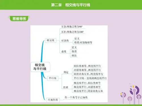 2019年春七年级数学下册第二章相交线与平行线1两条直线的位置关系同步课件(新版)北师大版