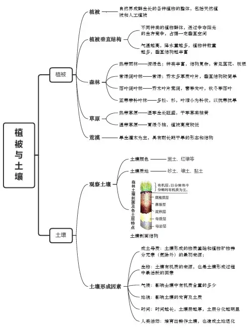 2021-2022学年高一地理人教版(2019)必修第一册思维导图 第五章 植被与土壤