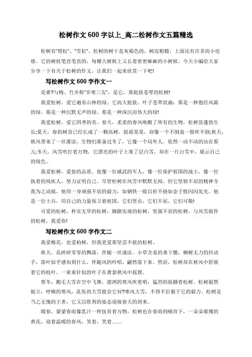 松树作文600字以上_高二松树作文五篇精选