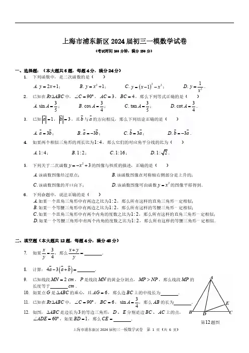 2024届上海市浦东新区初三一模数学试题及答案