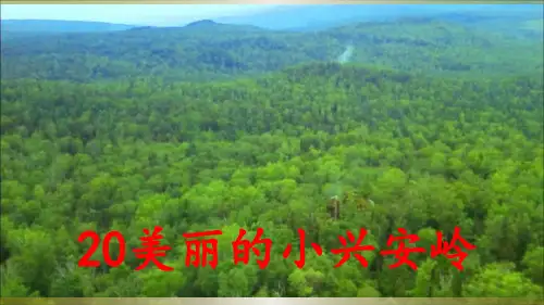 《美丽的小兴安岭》 课件