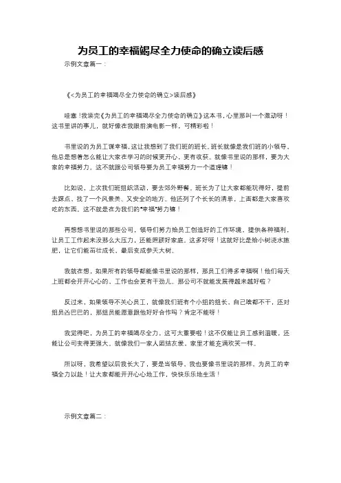 为员工的幸福竭尽全力使命的确立读后感