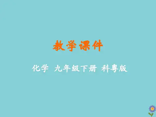 九年级化学下册第八章常见的酸、碱、盐常见的酸和碱教学课件(新版)粤教版