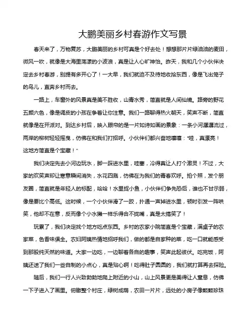 大鹏美丽乡村春游作文写景