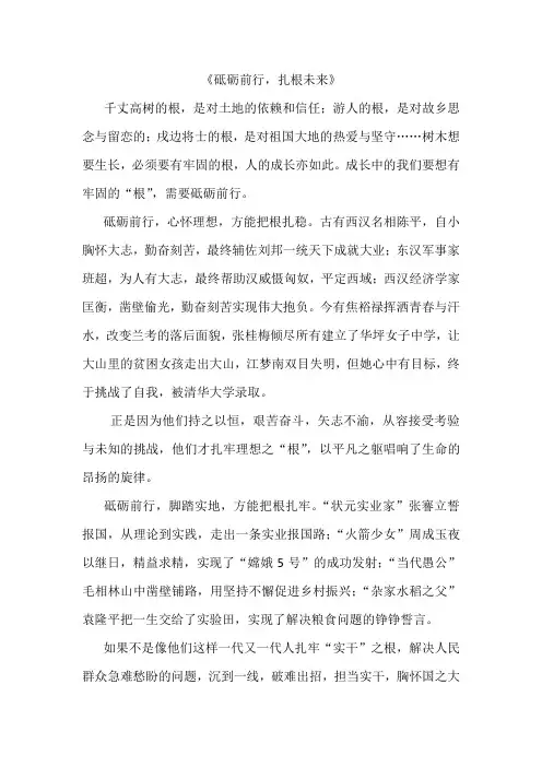 《砥砺前行,扎根未来》