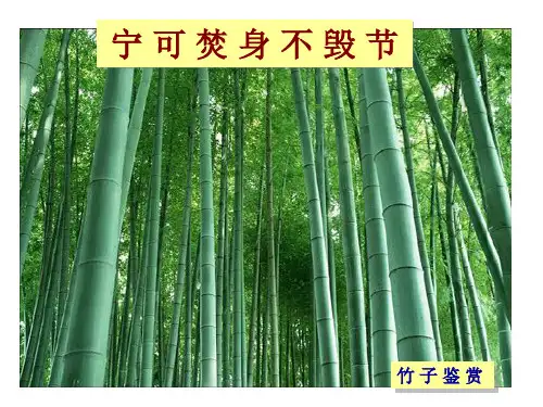 (完整版)浅谈中国竹子的历史、品种及竹子精神、文化ppt