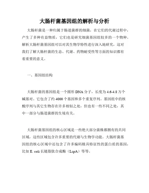 大肠杆菌基因组的解析与分析