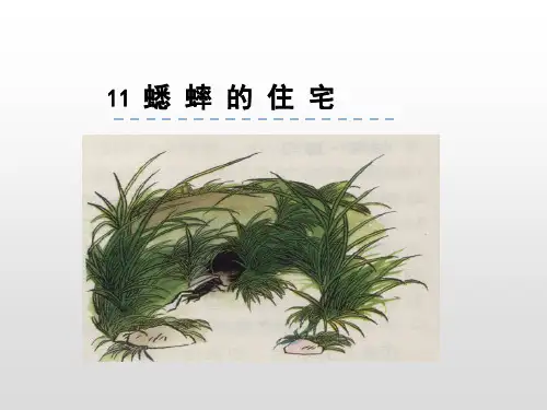 新版四年级上册-11.蟋蟀的住宅人教(部编版) (共48张PPT)