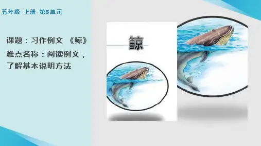 新人教版部编版小学五年级语文上册《鲸》教学课件