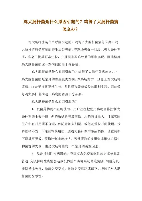 鸡大肠杆菌是什么原因引起的？鸡得了大肠杆菌病怎么办？