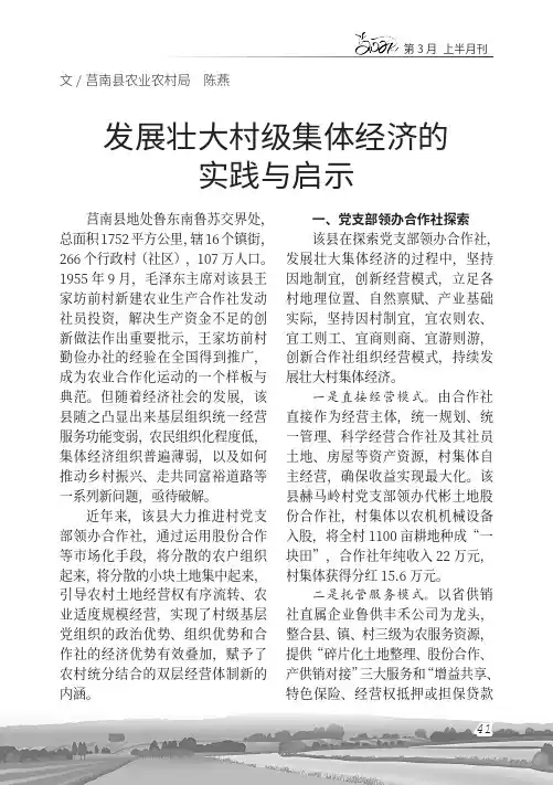 发展壮大村级集体经济的实践与启示