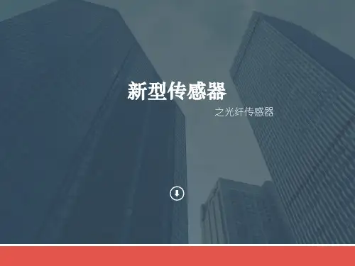 光纤传感器