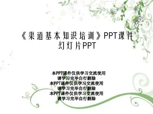 《渠道基本知识培训》PPT课件幻灯片PPT