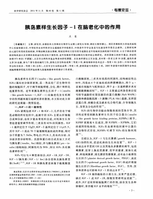 胰岛素样生长因子-1在脑老化中的作用