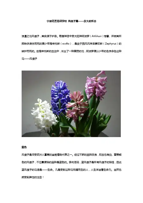 宁波花艺培训学校 风信子篇——永久的怀念