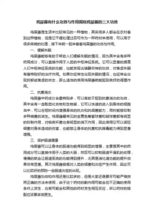 鸡屎藤有什么功效与作用揭晓鸡屎藤的三大功效