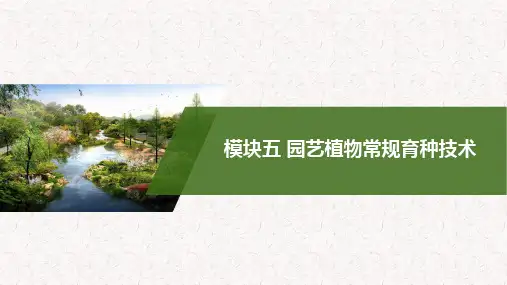园艺植物现代育种技术—诱变育种(园艺植物遗传育种课件)