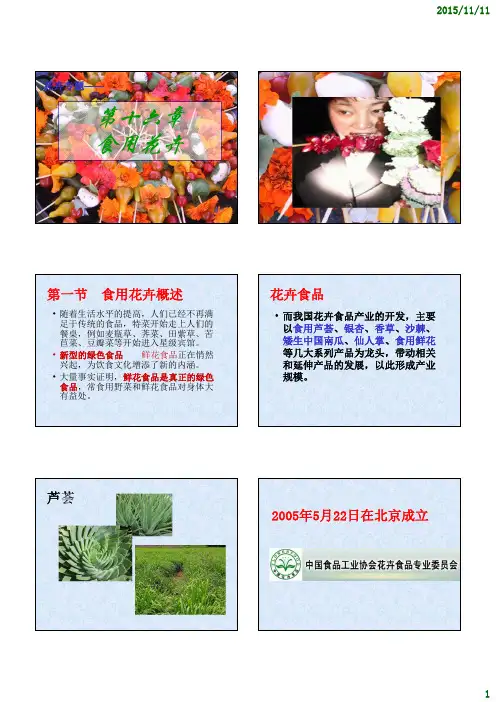 2015蔬菜营养与食疗16-食用花卉介绍