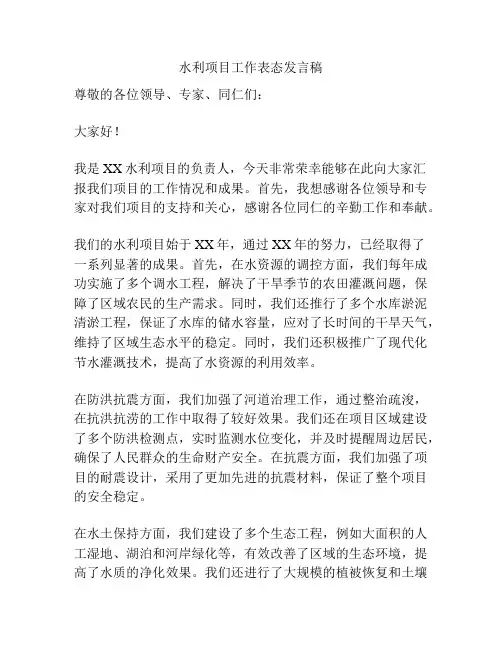 水利项目工作表态发言稿