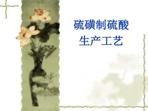 硫磺制硫酸生产工艺