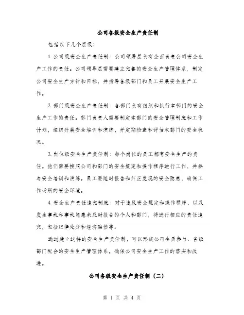 公司各级安全生产责任制（二篇）