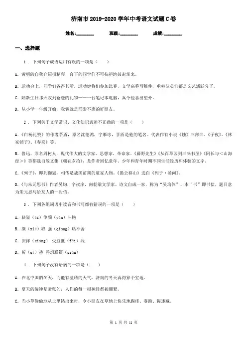 济南市2019-2020学年中考语文试题C卷