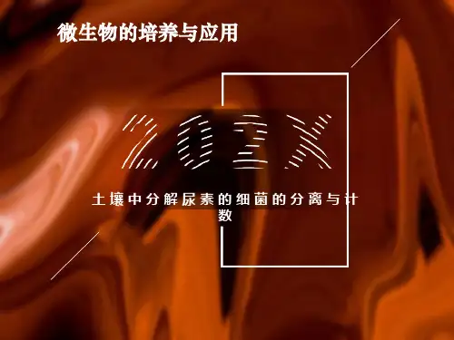 土壤中分解尿素尿素的细菌的分离与计数