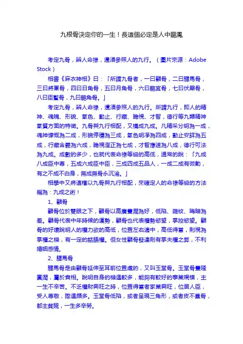 九根骨決定你的一生！長這個必定是人中龍鳳