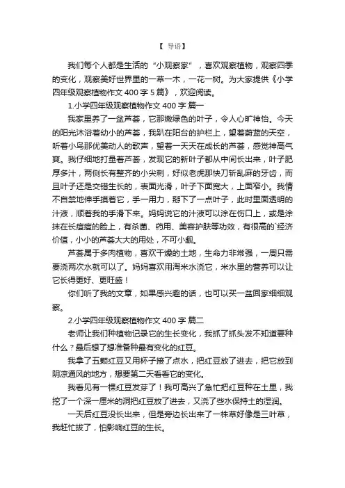 小学四年级观察植物作文400字5篇