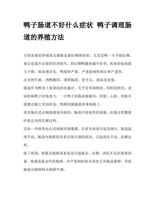 鸭子肠道不好什么症状 鸭子调理肠道的养殖方法