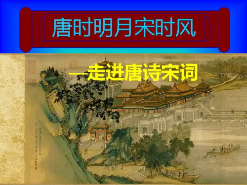 《唐诗宋词》资料PPT课件