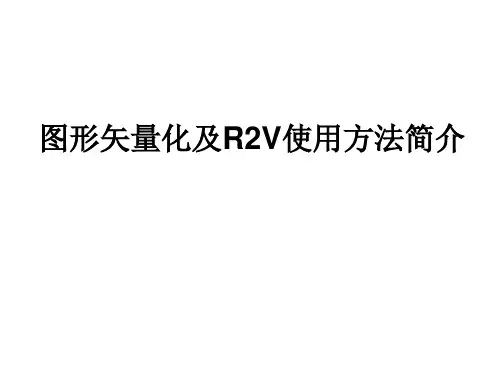 R2V使用方法简介