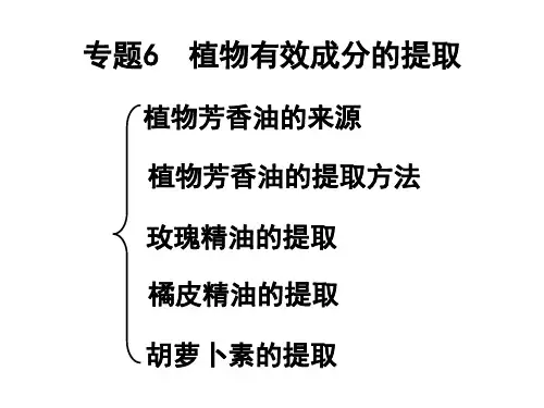 高三生物选修1专题6-植物有效成分的提取