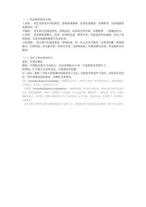 桂花树区别
