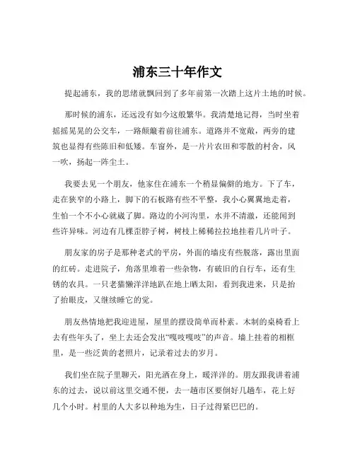 浦东三十年作文