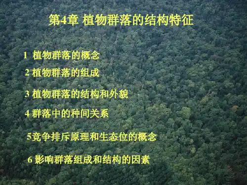 植物群落的结构特征